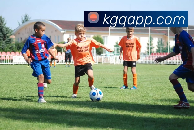 看个球直播官网品牌故事