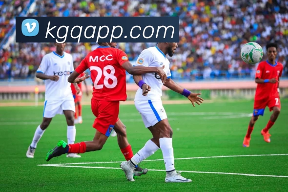 看个球直播官网服务体系